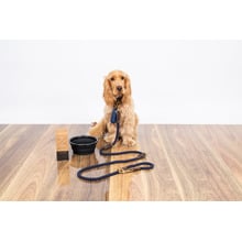180cm Leather & Cotton Rope Dog Lead